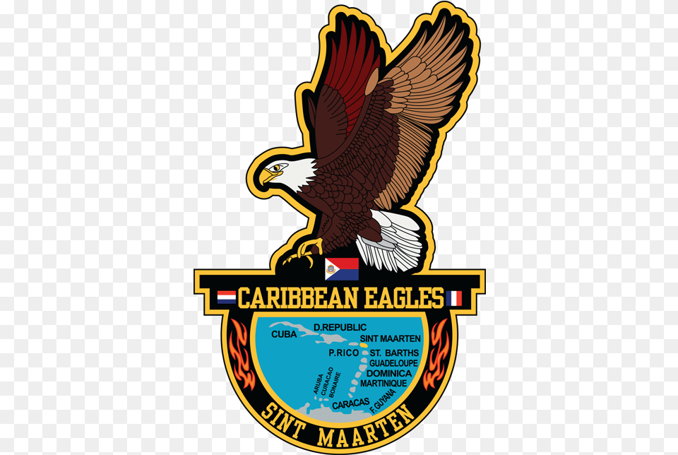 Home Of The Caribbean Eagles Caribbean Eagles St Maarten, Animal, Beak, Bird, Eagle Free Transparent Png
