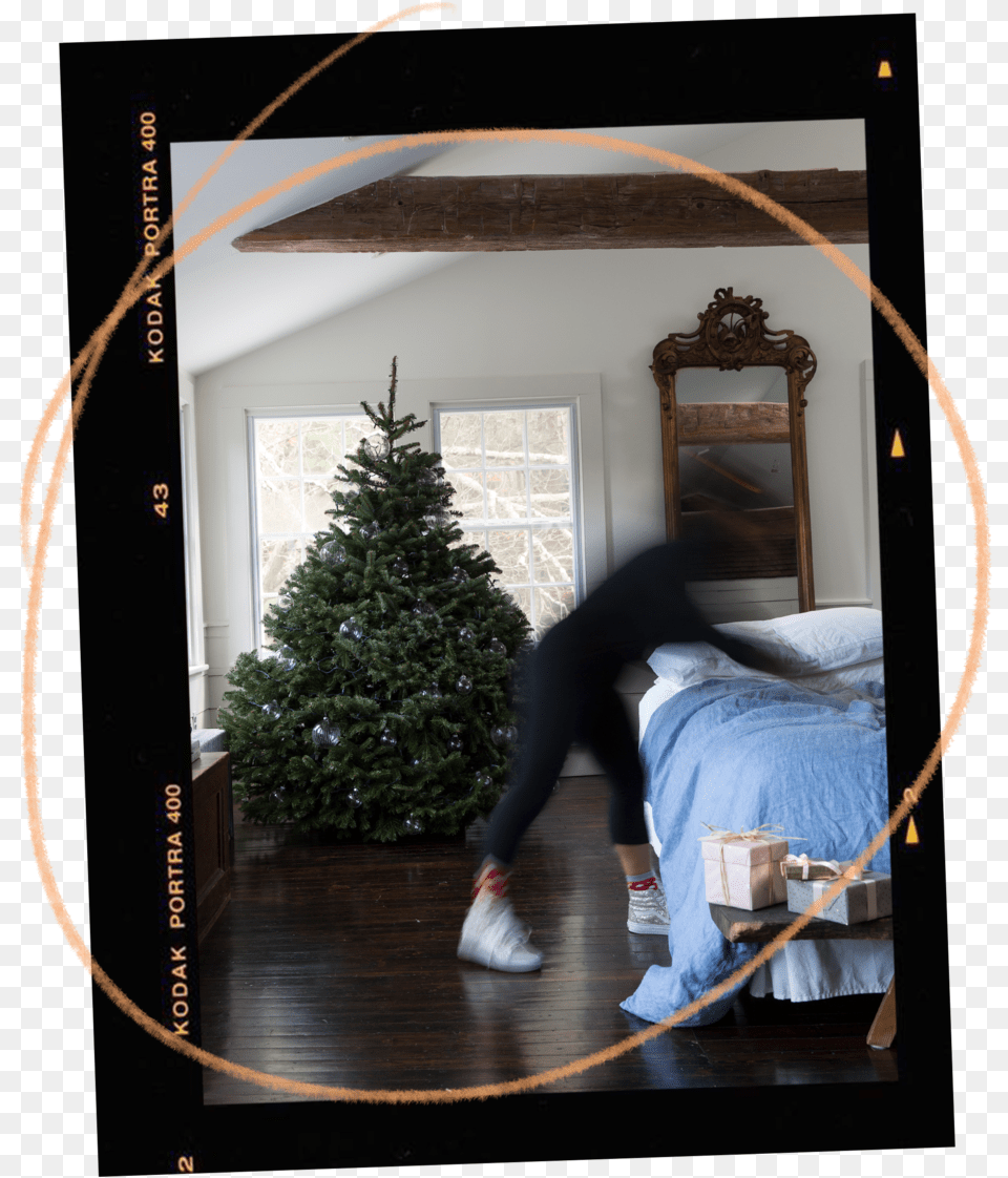 Home Package Christmas Tree, Wood, Plant, Fir, Shoe Free Png Download