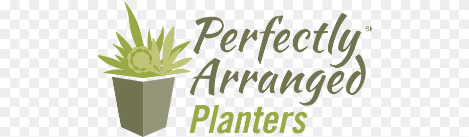 Home Perfectlyarranged Houseplant, Vase, Pottery, Potted Plant, Planter Free Png