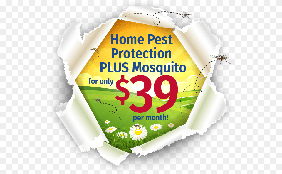 Home Pest Protection Plus Logo Graphic Design, Advertisement, Poster, Symbol, Text Free Png