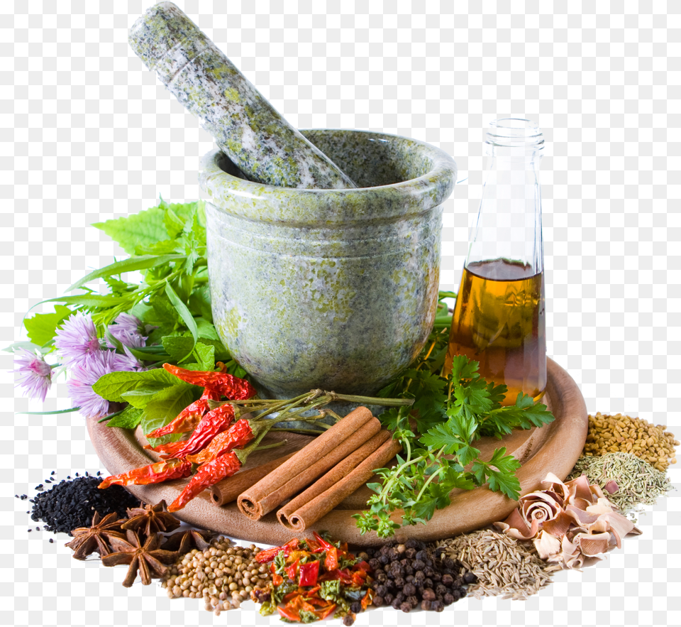 Home Remedies, Herbal, Herbs, Plant, Cannon Png