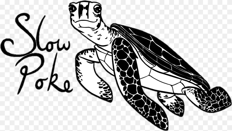 Home Ridley Sea Turtle, Adult, Woman, Person, Female Free Transparent Png