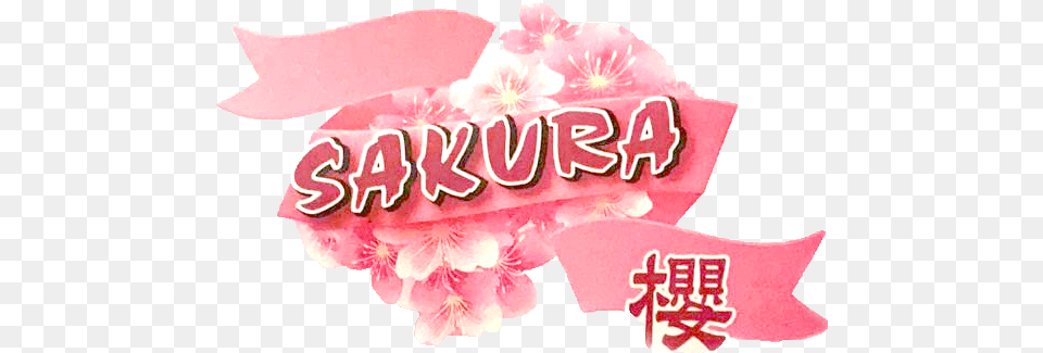 Home Sakura, Flower, Petal, Plant, Cherry Blossom Free Png Download