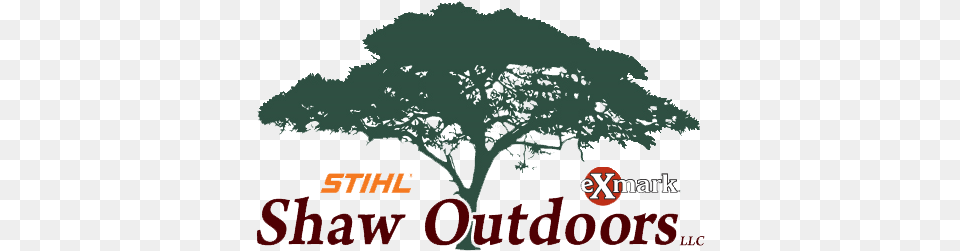 Home Shaw Outdoors Llc Jacksonville Fl Language, Oak, Plant, Sycamore, Tree Free Transparent Png
