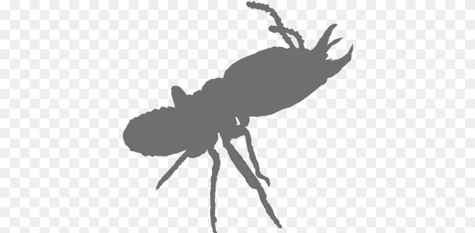 Home Silhouette, Animal, Person Free Png Download