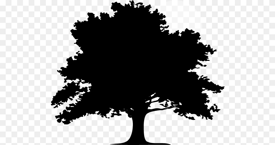 Home Silhouette Oak Tree Clipart, Astronomy, Moon, Nature, Night Png