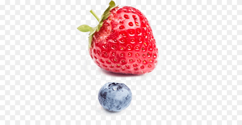 Home Superfood, Berry, Blueberry, Food, Fruit Free Png Download
