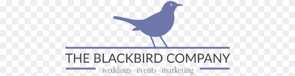 Home The Blackbird Co Silhouette Vogel, Animal, Bird Free Transparent Png