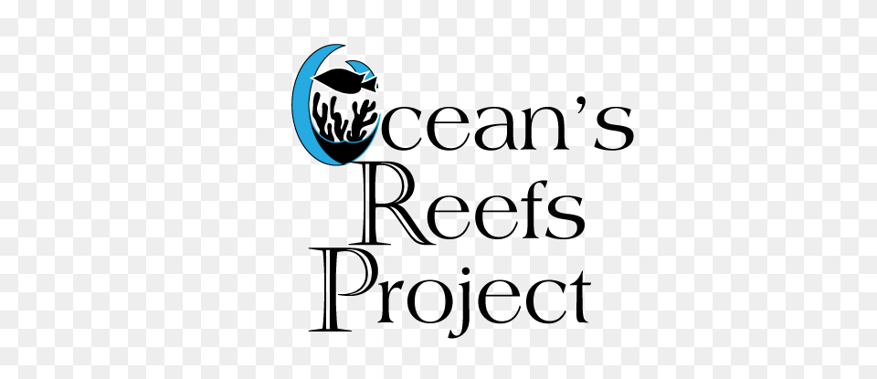 Home The Oceans Reefs Project, Weapon Free Png Download