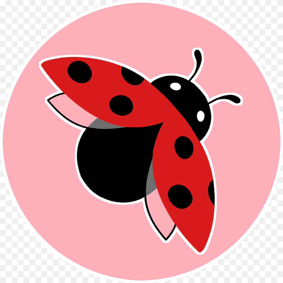 Home The Red Ladybug Design Dot, Animal, Bee, Insect, Invertebrate Png