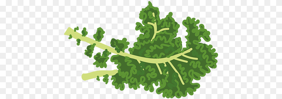 Home Thevegankids Mustard Greens, Woodland, Plant, Nature, Land Png
