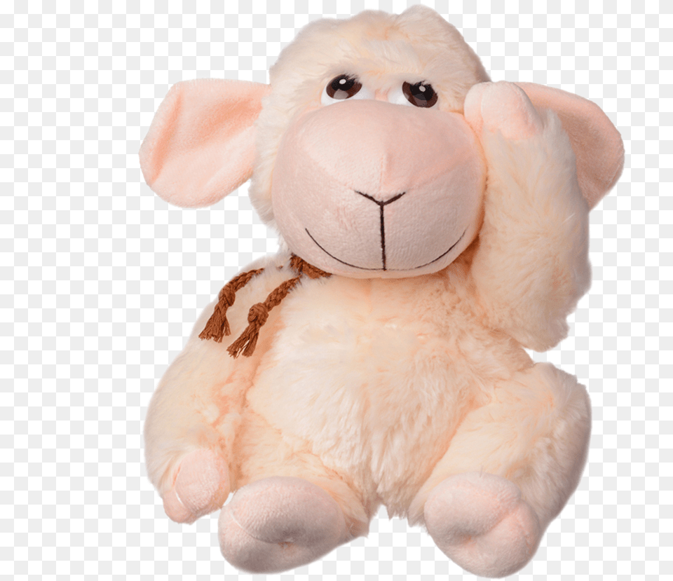 Home Toys Soft Toys Stuffed Toy, Plush, Animal, Bear, Mammal Free Png Download