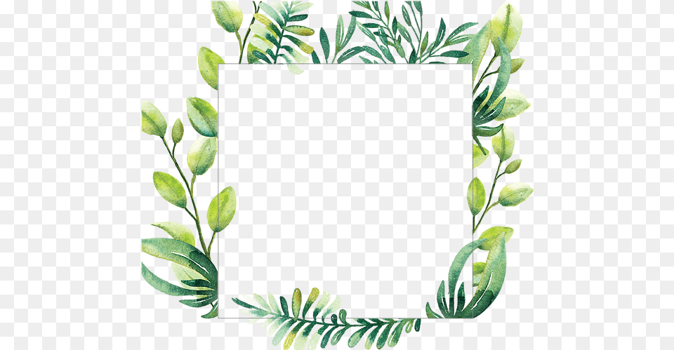 Home Greenery Clipart, Vegetation, Sprout, Plant, Leaf Free Transparent Png