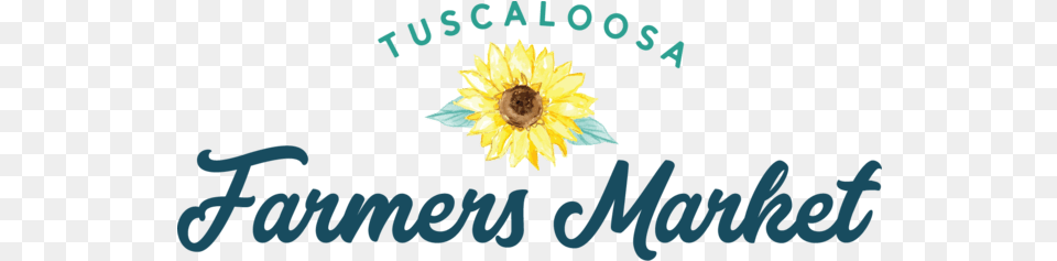 Home Tuscaloosa River Market Language, Flower, Plant, Sunflower Png