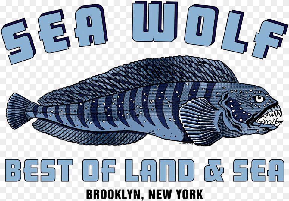 Home U2014 Sea Wolf Blue Logo, Animal, Fish, Sea Life, Aquatic Png Image