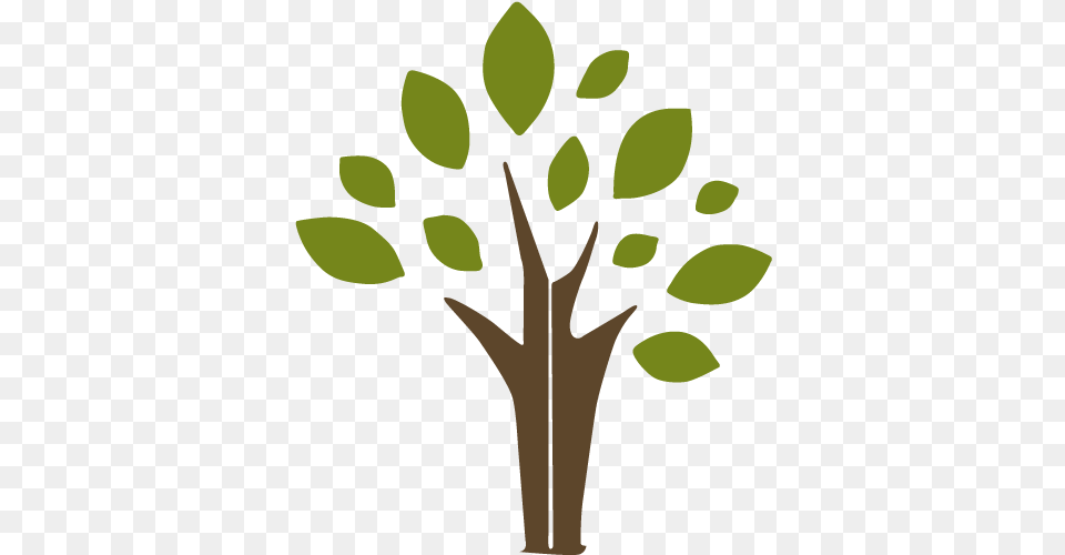 Home Vanguard Landing Tree, Green, Leaf, Plant, Potted Plant Png Image