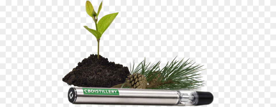 Home Vape Cbd Disposable Vape Pens Cannabidiol, Leaf, Plant, Potted Plant, Soil Free Png