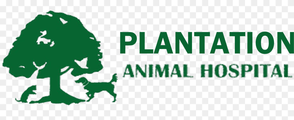 Home Veterinarian In Clayton Nc Plantation Animal Hospital Graphic Design, Nature, Vegetation, Green, Tree Free Png