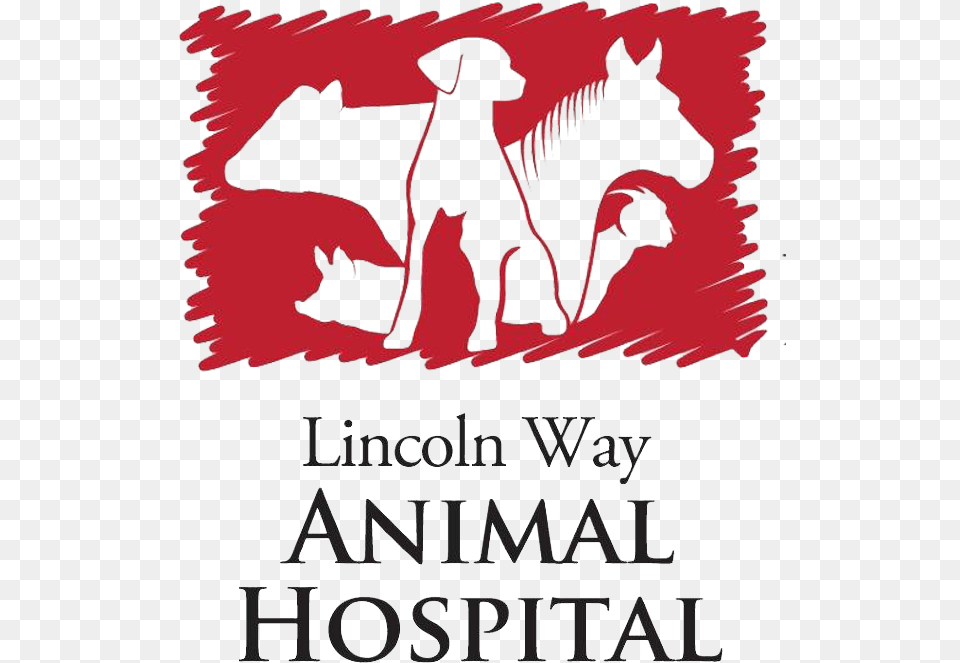 Home Veterinarian In Upper Sandusky Oh Lincoln Way Lincoln Way Animal Hospital, Book, Publication, Advertisement, Poster Free Png