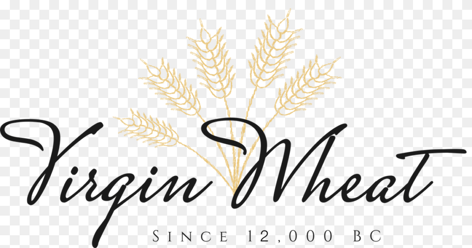 Home Virgin Wheat, Grass, Plant, Food, Grain Free Transparent Png