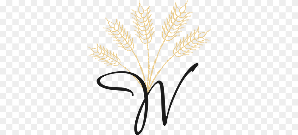 Home Virgin Wheat, Grass, Plant, Pattern, Leaf Free Png Download