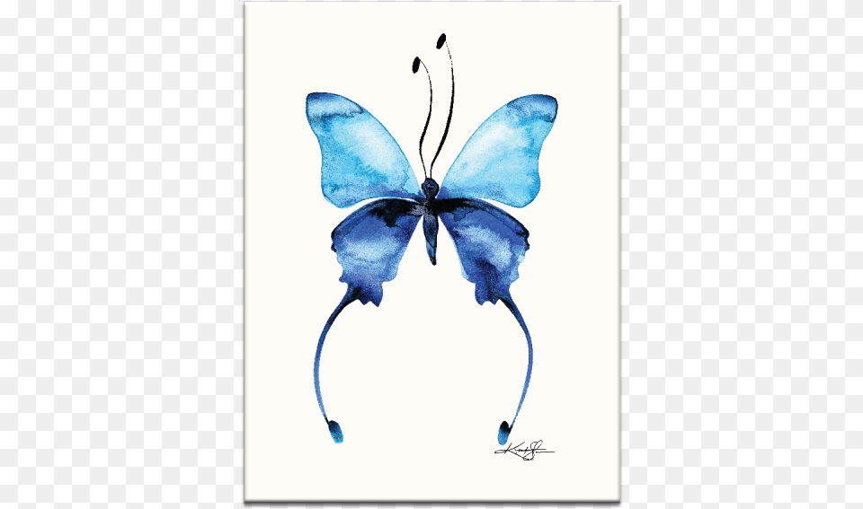 Home Wandbild Schmetterling 11 Artist Lane Format Kein, Animal, Insect, Invertebrate Free Png