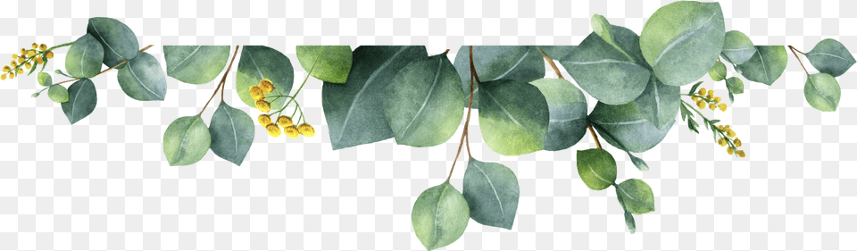 Home Watercolor Leaf Banner, Plant, Animal, Invertebrate, Insect Free Transparent Png