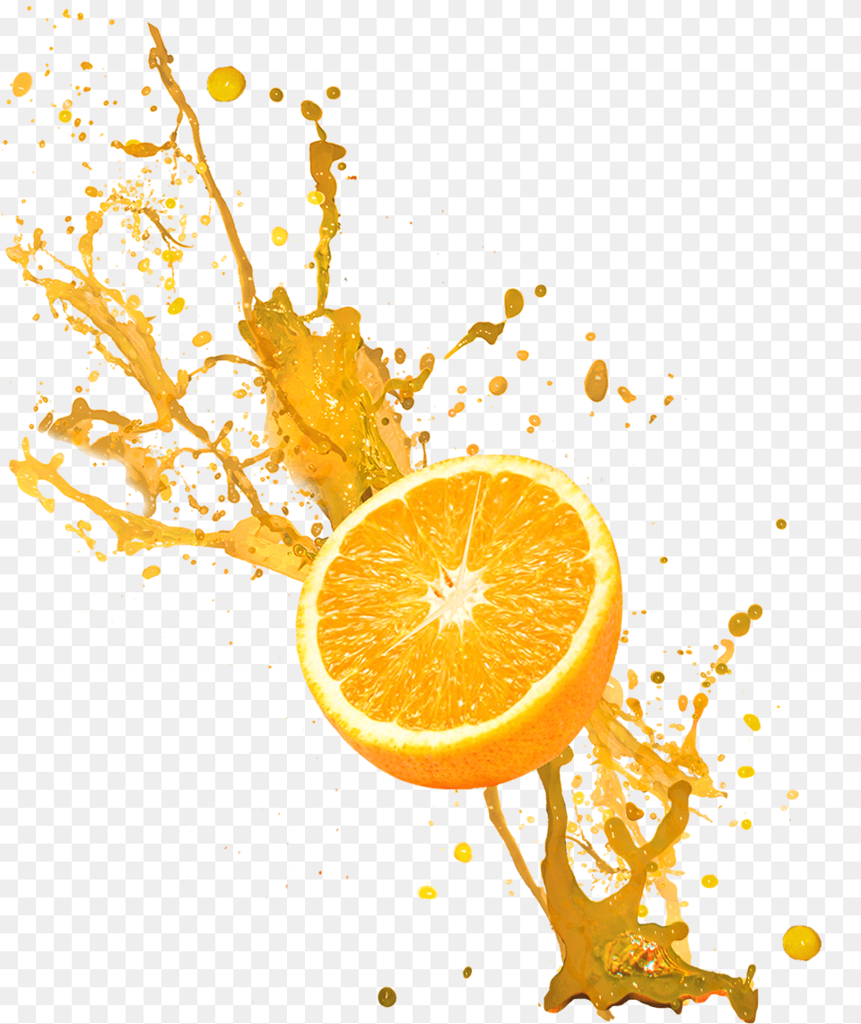 Home Waterparks Waterparks Fandom Orange, Produce, Citrus Fruit, Food, Fruit Free Transparent Png