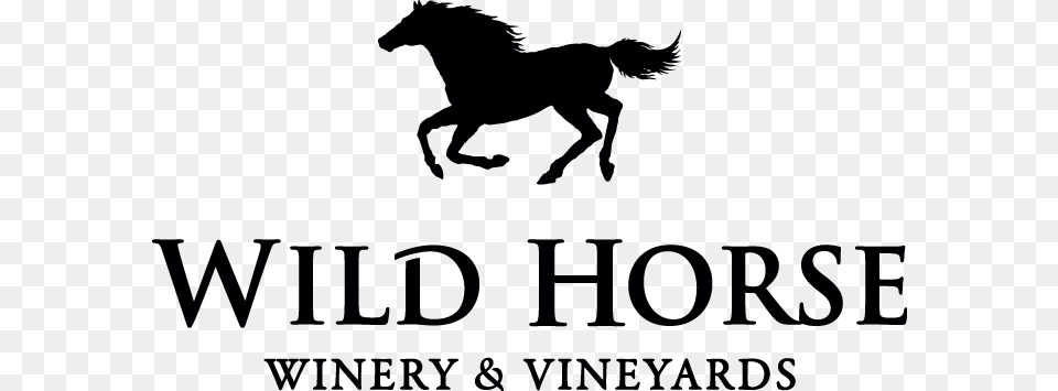Home Wild Horse Wine Logo, Silhouette, Stencil, Animal, Mammal Png Image