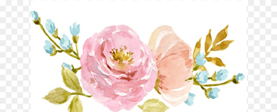 Homebirthdaywatercolor Flowers Birthday Transparent Background Watercolor Flowers, Flower, Plant, Rose, Art Free Png