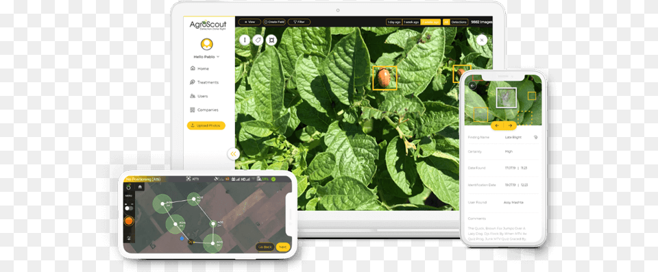 Homepage Agroscout Agroscout, Herbal, Herbs, Leaf, Plant Free Transparent Png