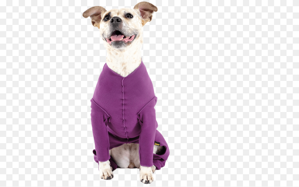 Homepage Goldpaw Series Dog Clothes, Animal, Canine, Mammal, Pet Free Transparent Png