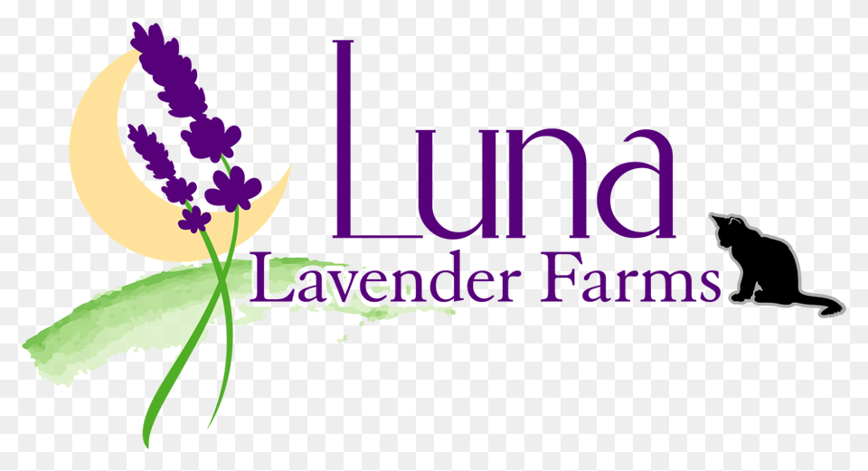 Homepage Luna Lavender Farms, Animal, Cat, Flower, Mammal Free Png Download