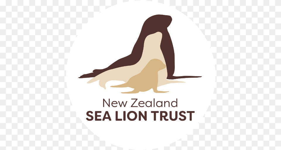 Homepage New Zealand Sea Lion Trust Sea Lion Book Logo, Animal Free Png Download