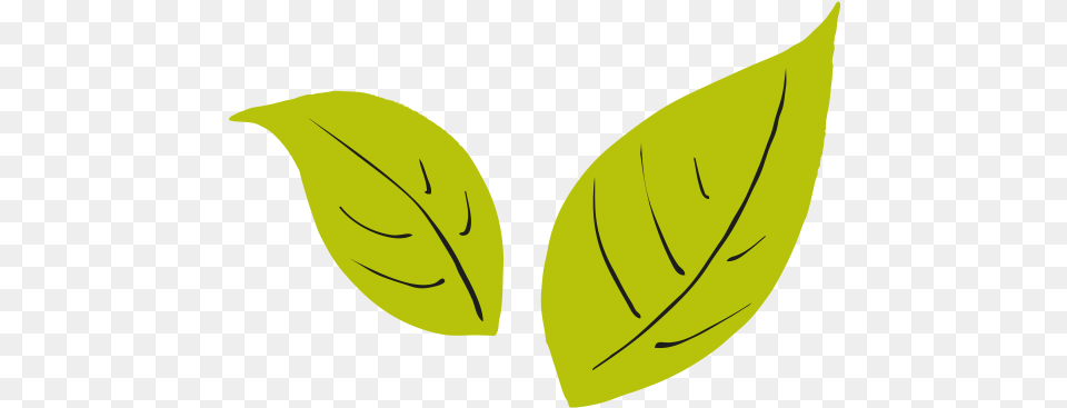 Homepage Sample Milk Tea Logo, Leaf, Plant, Annonaceae, Tree Free Png