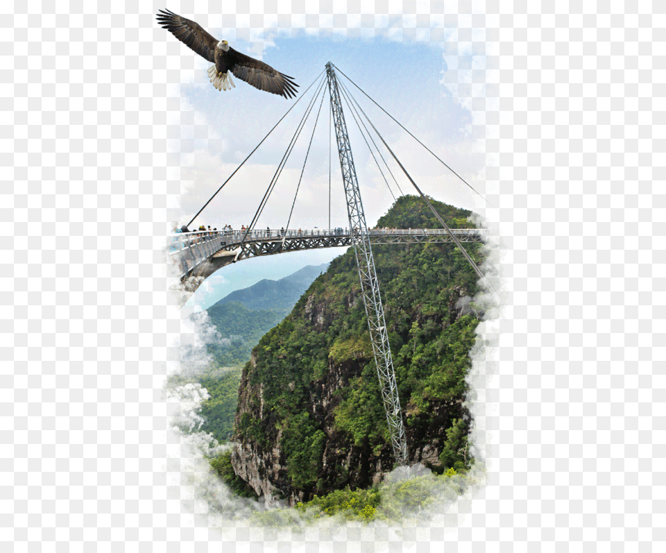 Homepage Skybridge Langkawi Sky Bridge, Animal, Bird, Vulture, Person Free Png