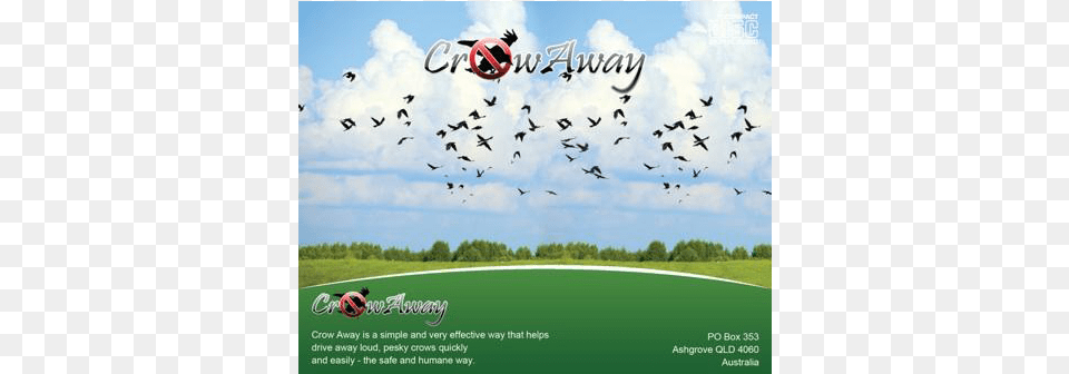 Homepage Slide Poster, Advertisement, Animal, Flock, Soccer Ball Free Transparent Png