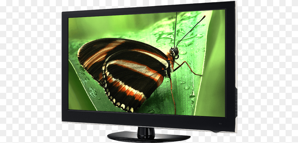 Homepage Tv Lcd Tv, Computer Hardware, Electronics, Hardware, Monitor Free Png