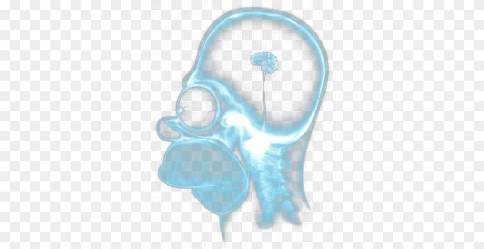 Homero Simpson Rayos Psd Homer Jay Simpson X Ray, Adult, Ct Scan, Male, Man Png Image