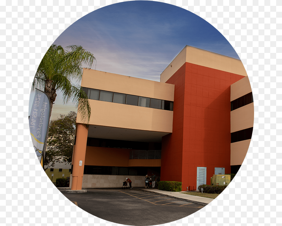 Homestead Palm Trees, Architecture, Building, Office Building, Photography Png Image