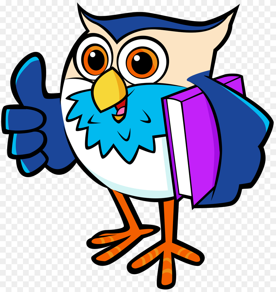 Homework Clipart Owl, Animal, Beak, Bird, Baby Free Transparent Png