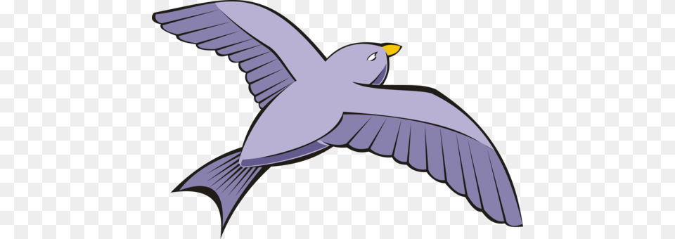Homing Pigeon Columbidae Bird Dont Let The Pigeon Drive The Bus, Animal, Flying, Seagull, Waterfowl Free Transparent Png