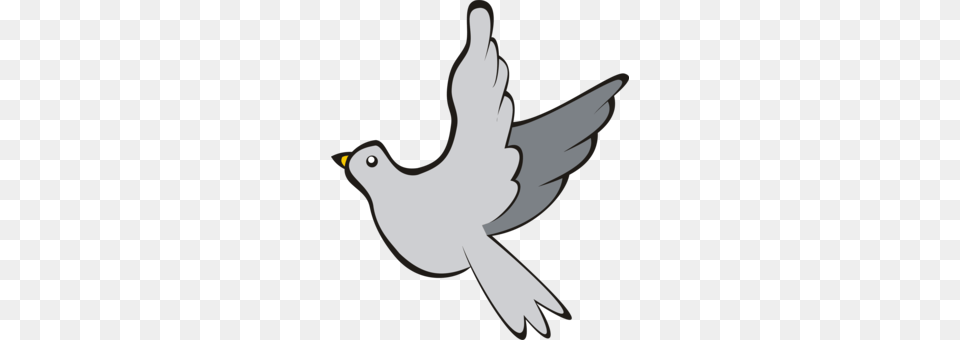Homing Pigeon Columbidae English Carrier Pigeon Bird Blue Pigeon, Animal, Dove Free Png Download