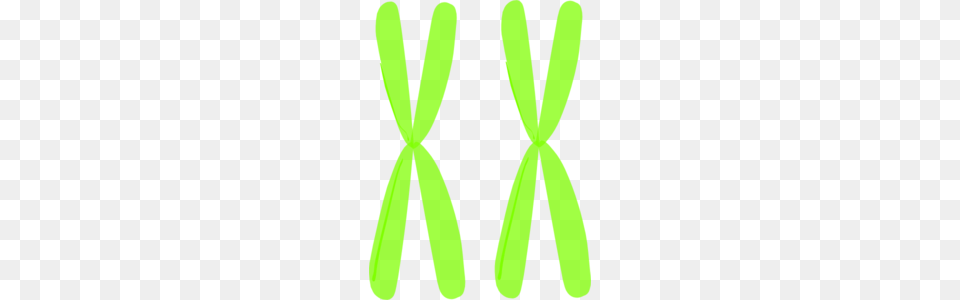 Homologous Chromosomes Clip Art, Accessories, Formal Wear, Green, Tie Free Transparent Png