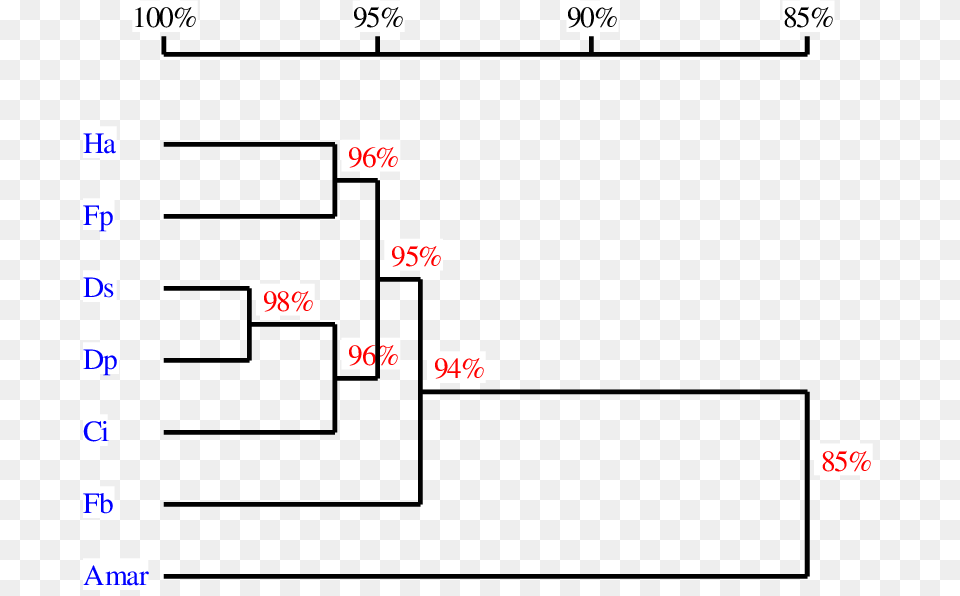 Homology Tree Of The Rbcl Sequences From Seven Different Diagram, Game Free Png Download