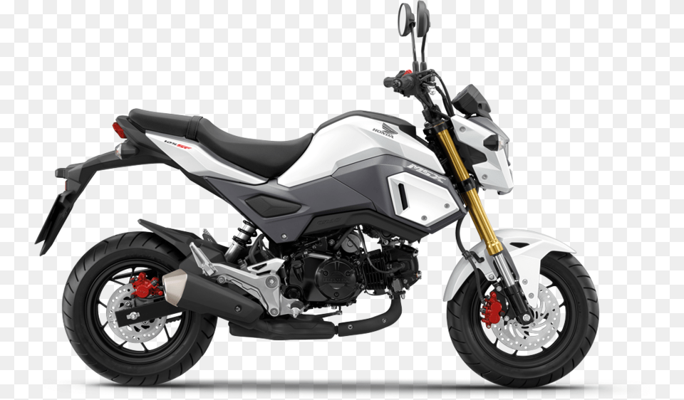 Honda Msx125 Freestanding On White Background 2018 Honda Grom Price, Motorcycle, Transportation, Vehicle, Machine Free Png Download