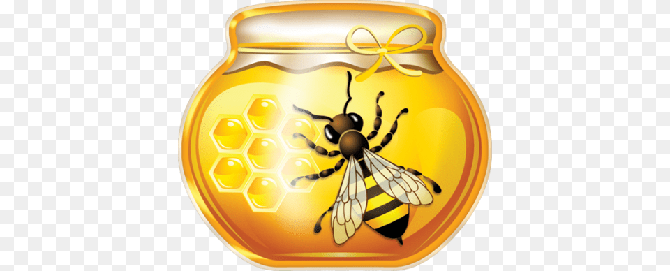 Honey, Animal, Bee, Insect, Invertebrate Png Image