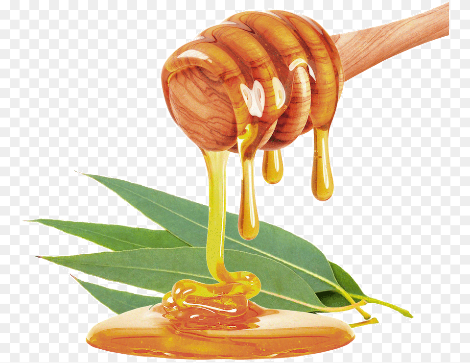 Honey, Food, Plant Free Png Download