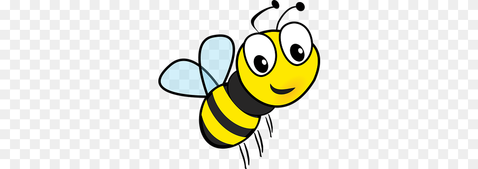 Honey Animal, Bee, Honey Bee, Insect Free Png Download
