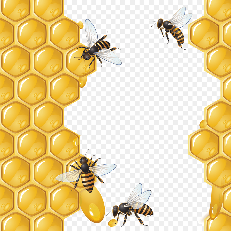 Honey Png